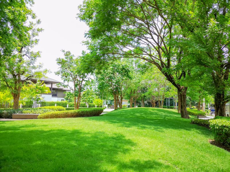 Access to Specialized Lawn Care Training and Resources