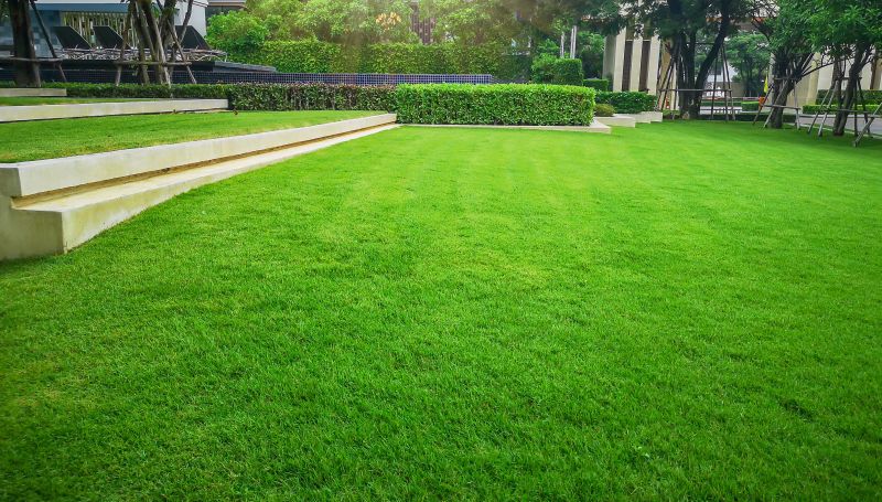 Established Lawn Care Brand Recognition